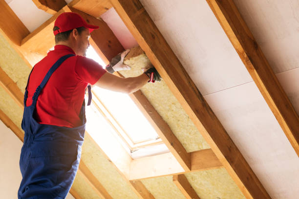 Eco-Friendly or Green Insulation Solutions in Covington, LA